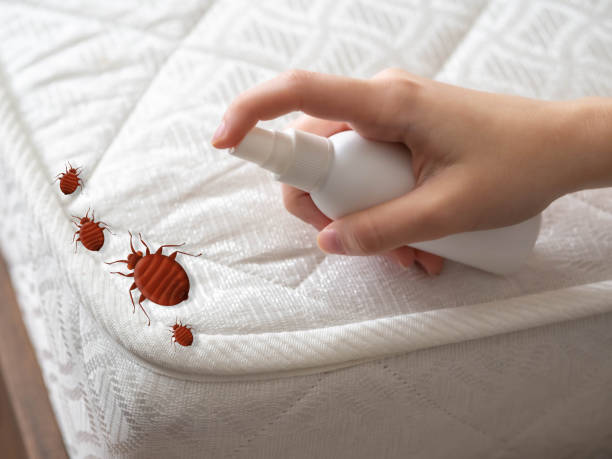 Best Real Estate Pest Inspections  in Palos Heights, IL